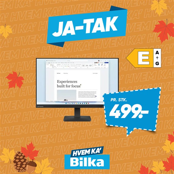LENOVO L24-E4 23,8